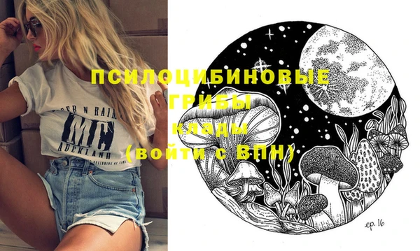 Альфа ПВП Аркадак