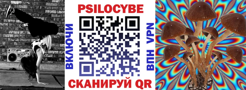 наркота  Евпатория  blacksprut рабочий сайт  Псилоцибиновые грибы Cubensis 